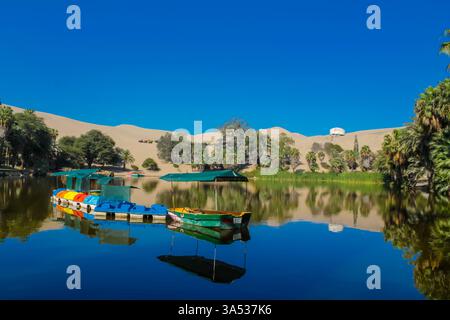 Dunes de la ville d'ICA, oasis Huacachina au Pérou. Lac avec des palmiers entouré de dunes de sable dans le désert sur la côte pacifique du Pérou. Dunes d'ICA Banque D'Images