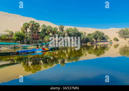Dunes de la ville d'ICA, oasis Huacachina au Pérou. Lac avec des palmiers entouré de dunes de sable dans le désert sur la côte pacifique du Pérou. Dunes d'ICA Banque D'Images