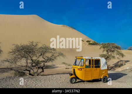 Dunes de la ville d'ICA, oasis Huacachina au Pérou. Lac avec des palmiers entouré de dunes de sable dans le désert sur la côte pacifique du Pérou. Dunes d'ICA Banque D'Images