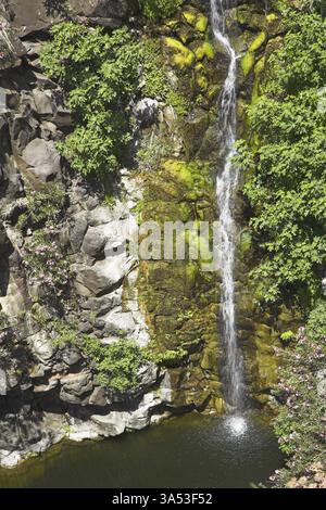 Incroyablement belles chutes avec de l'eau verdâtre dans un canal de granit d'un ruisseau de montagne Banque D'Images