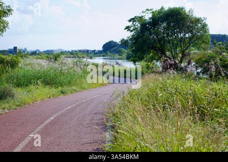 Ville de Gwangju, Corée du Sud - 24 septembre 2020 : une section sinueuse de la piste cyclable Yeongsangang suit la courbe de la rivière, entourée de légumes luxuriants Banque D'Images