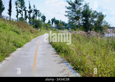 Ville de Gwangju, Corée du Sud - 24 septembre 2020 : une section étroite de la piste cyclable Yeongsangang serpente à travers de l'herbe envahie et des arbres le long de la rivière Banque D'Images