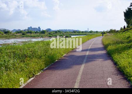 Ville de Gwangju, Corée du Sud - 24 septembre 2020 : un cycliste longe la piste cyclable Yeongsangang, en suivant la rivière vers la ville. Le pav Banque D'Images
