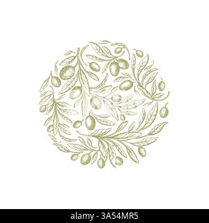 Olivier en cercle. Fruit de texture de vecteur, feuilles vertes sur fond blanc. Emblème rond nature, illustration vintage décorative. Grèce botanique Illustration de Vecteur