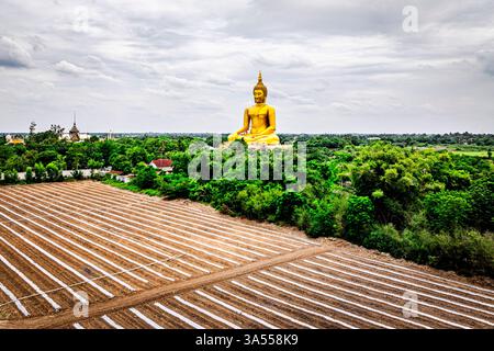 Big Buddha, Wat Muang, Thaïlande Banque D'Images