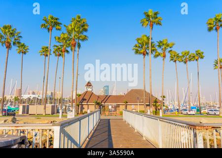 Long Beach, Californie - 11 janvier 2025 : vue pittoresque sur la marina de long Beach avec des palmiers vibrants, un bâtiment charmant et de nombreux Banque D'Images