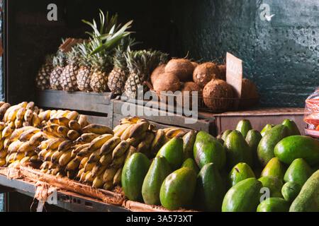 Un stand de fruits vibrant à la Havane rempli de fruits tropicaux comme la noix de coco, la banane, l'ananas et la mangue mettant en valeur l'atmosphère colorée et animée o Banque D'Images