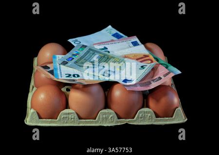 Une douzaine d'oeufs avec des billets d'euro sur le dessus isolé sur noir Banque D'Images