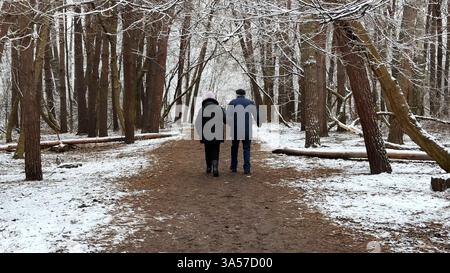 Couple mûr allant sur le chemin enneigé à la forêt de pins d'hiver. Mari senior et femme marchant à travers le sentier dans la forêt de conifères. Ancienne paire de Banque D'Images