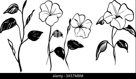 Une collection de fleurs dessinées à la main avec des feuilles, avec trois motifs de fleurs distincts. Les illustrations sont en noir et blanc, montrant un simple Illustration de Vecteur