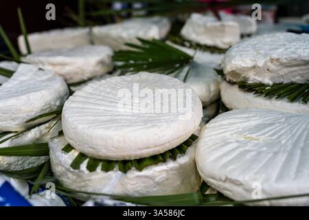 Gaufrettes de fromage typique du Rif, Tétouan, Maroc, Afrique du Nord Banque D'Images