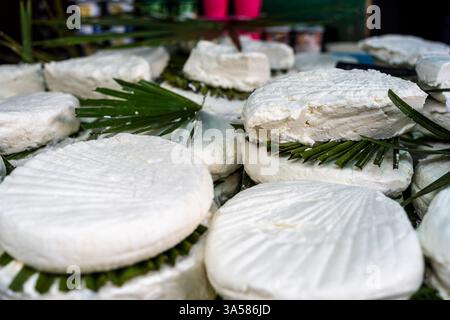 Gaufrettes de fromage typique du Rif, Tétouan, Maroc, Afrique du Nord Banque D'Images