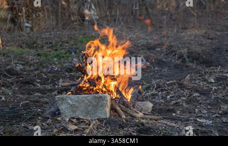 Un petit feu brûle dans les bois près d'un vieux mur de pierre. L'image montre un gros plan des flammes. Banque D'Images