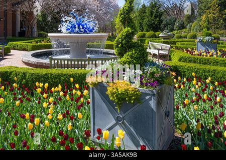 Atlanta Blooms exposition printanière à l'Atlanta Botanical Garden à Atlanta, Géorgie. (ÉTATS-UNIS) Banque D'Images
