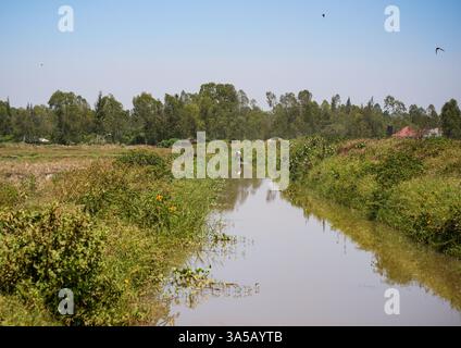 (250322) -- NAIROBI, 22 mars 2025 (Xinhua) -- le 20 février 2025, Un agriculteur reçoit de l'eau d'un canal du projet d'irrigation de Lower Nzoia dans le comté de Siaya, à l'ouest du Kenya. Construit par la société chinoise Sino Hydro Company Limited, le projet d'irrigation de Lower Nzoia est un projet national domicilié au Ministère de l'eau et de l'irrigation. Sa mise en œuvre a commencé en juin 2018, dans le but d'atténuer les inondations et d'augmenter la superficie des terres irriguées dans l'ouest du Kenya. L'un des principaux affluents qui se déversent dans le lac Victoria, le plus grand lac d'eau douce d'Afrique, la rivière Nzoia, qui a une longueur de Banque D'Images