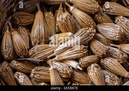 Bâtonnets d'anis pour l'hygiène bucco-dentaire, marché souk, Tanger, Maroc, Afrique du Nord. Banque D'Images