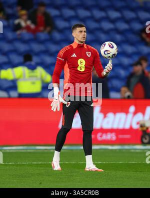CARDIFF, PAYS DE GALLES - 22 MARS 2025 : le gardien du pays de Galles Karl Darlow lors de l'échauffement avant les qualifications européennes pour la Coupe du monde de la FIFA 2026, match du groupe J entre le pays de Galles et le Kazakhstan au stade de Cardiff le 22 mars. (Photo par John Smith/FAW) Banque D'Images