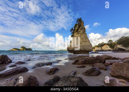 Énormes rochers et rochers pittoresques sur une plage de sable. La Nouvelle-Zélande, Île du Nord. Marée basse de l'océan dans Cathedral Cove au coucher du soleil. Le concept d'exotique Banque D'Images