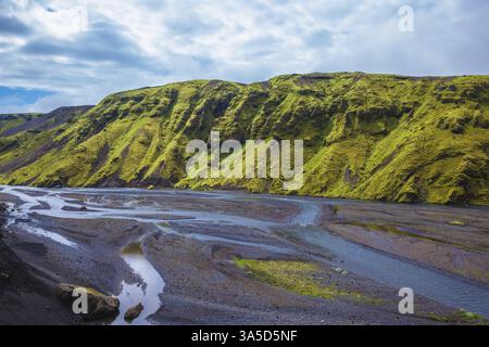 Pittoresques collines de basalte couvertes d'herbe verte et de mousse polaire. Au fond du canyon coulant ruisseaux lot. Canyon Pakgil en Islande Banque D'Images