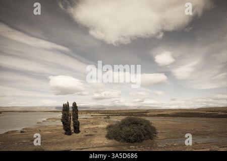 Patagonie Argentine par un jour venteux. Désert plat jaune avec lacs peu profonds Banque D'Images