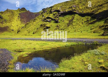 Pittoresques collines de basalte envahissaient l'herbe verte et la mousse. Au fond du canyon de nombreux ruisseaux coulent. Canyon Pakgil en Islande Banque D'Images