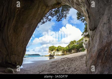 Marée basse au coucher du soleil. Voyage en Nouvelle-Zélande. La magnifique grotte de la cathédrale fantastique sur la plage de sable. Le concept d'exotique, écologique et photo à Banque D'Images