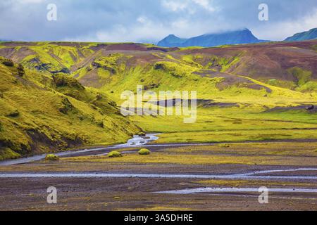Pittoresques collines de basalte couvertes d'herbe et de mousse polaire. Au fond du canyon coulant ruisseaux lot. Canyon Pakgil en Islande Banque D'Images