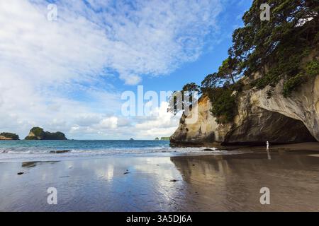 Femme touriste prenant des photos de la plage. Marée océanique dans la Cathedral Cove. Reflet miroir des nuages dans le sable humide. Voyage en Nouvelle-Zélande. Le concept Banque D'Images