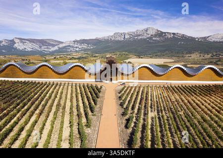 Vue plongeante. Cave Bodegas Ysios et rangées de vignobles. LaGuardia, Espagne. L'architecture de Bodegas Ysios se Marie magnifiquement avec le surrou Banque D'Images