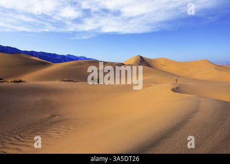 Lever de soleil dans le sable orange du désert Mesquite Flat, USA. La femme âgée - photographe dans un t-shirt rayé va parmi les dunes de sable Banque D'Images