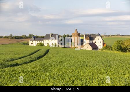 Panorama avec le château de Mildenstein et vue sur la ville avec l'église St Matthaei et l'hôtel de ville, Leisnig, Saxe, Allemagne, Europe Banque D'Images