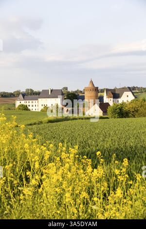 Panorama avec le château de Mildenstein et vue sur la ville avec l'église St Matthaei et l'hôtel de ville, Leisnig, Saxe, Allemagne, Europe Banque D'Images