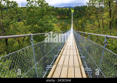 Geierlay est le plus long pont suspendu de téléphérique en Allemagne. Pont pittoresque sur la vallée du ruisseau Mersdorf. Journée d'automne venteuse et froide Banque D'Images