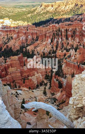 Amphithéâtre naturel géant créé par l'érosion. Paysage incroyable illuminé par le coucher du soleil. Hoodoos qui ressemblent à des flèches pointant vers le ciel. Banque D'Images