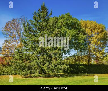 Concept de golf de tourisme. Parcours de golf en herbe verte. Magnifique journée chaude et ensoleillée Banque D'Images
