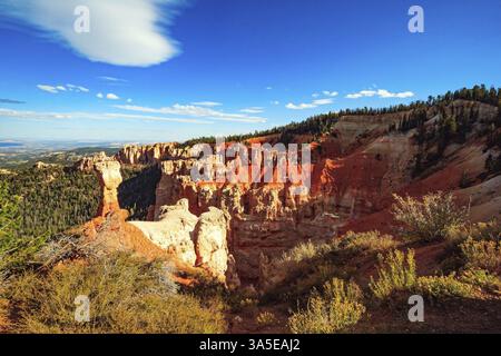 Le hoodoo le plus célèbre est le marteau de Thor. Amphithéâtre naturel géant créé par l'érosion. Paysage incroyable illuminé par le coucher du soleil. Bryce Canyon i. Banque D'Images