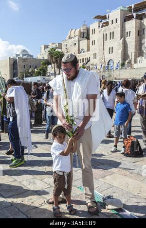 JÉRUSALEM, ISRAËL - 12 OCTOBRE 2014 : la zone en face du mur occidental du Temple est remplie de gens. Matin automne Sukkot. Beaucoup apportèrent la prière Banque D'Images