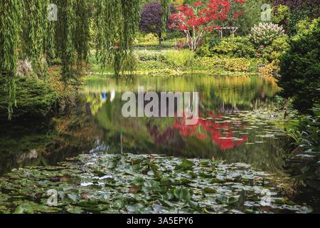 Étang calme, envahi de lis, parmi les saules pleureurs. Fantastiques jardins floraux Butchart sur l'île de Vancouver, Canada, Amérique du Nord Banque D'Images