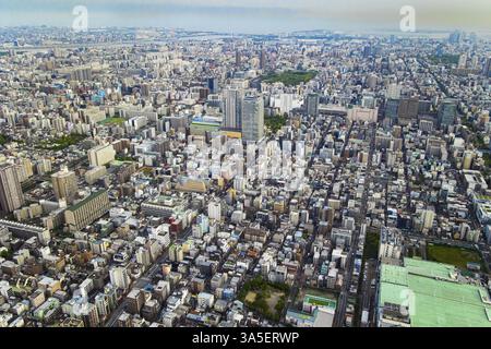 Vue sur la capitale du Japon. La vue depuis la terrasse d'observation de la tour. Le smog a fermé la belle Tokyo. Tokyo Sky Tree est le plus haut bâtiment Banque D'Images