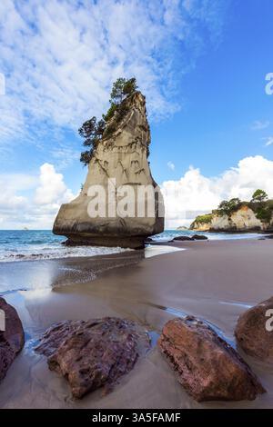 L'île du Nord de la Nouvelle-Zélande. Énormes rochers et énormes rochers pittoresques sur une plage de sable. Marée basse de l'océan dans Cathedral Cove au coucher du soleil. Le concept de Banque D'Images