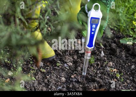 Testeur DE PH-mètre dans le sol. Mesurez le sol avec un appareil numérique. Femme agricultrice dans un jardin Banque D'Images