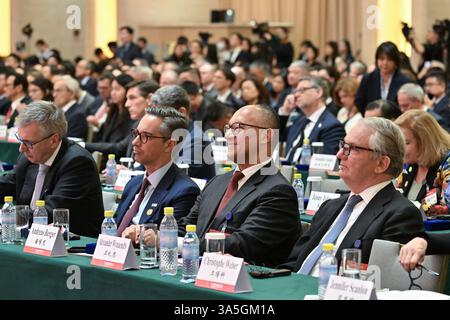 (250323) -- BEIJING, le 23 mars 2025 (Xinhua) -- les participants assistent au Forum chinois sur le développement 2025 à Beijing, capitale de la Chine, le 23 mars 2025. Le Forum de développement de la Chine 2025 est prévu du 23 au 24 mars. Le thème du forum de cette année est « libérer l'élan du développement pour une croissance stable de l'économie mondiale ». (Xinhua/Li Xin) Banque D'Images