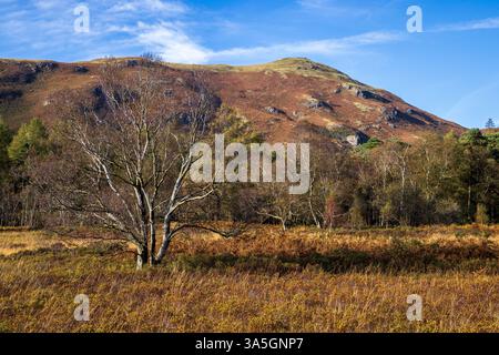 Cat Bells de la Cumbria Way le long de Derwent Water, Lake District, Cumbria, Angleterre Banque D'Images