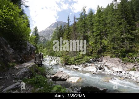 France haute-Savoie vallée de Chamonix Vallorcine : petit pont, forêt et rivière Banque D'Images