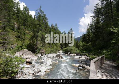 France haute-Savoie vallée de Chamonix Vallorcine : petit pont, forêt et rivière Banque D'Images