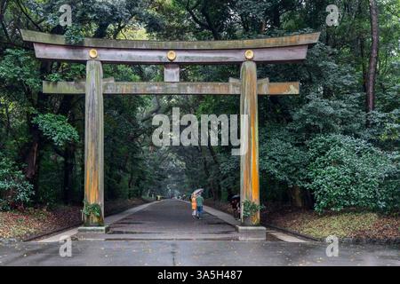 La porte Torii du sanctuaire Meiji à Tokyo se dresse au milieu d'une forêt dense, symbolisant la transition vers un terrain sacré. Les visiteurs se promènent le long du chemin tranquille. Banque D'Images