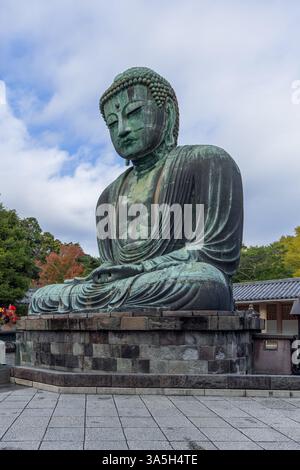 Vue de côté de la statue du Grand Bouddha au temple Kotoku-in à Kamakura Japon montrant la pose méditative de surface en bronze vieilli et l'expression pacifique Banque D'Images