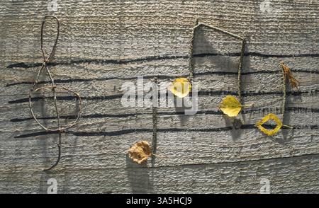 Des notes de musique la conception. Notes de musique en bois et les feuilles Banque D'Images