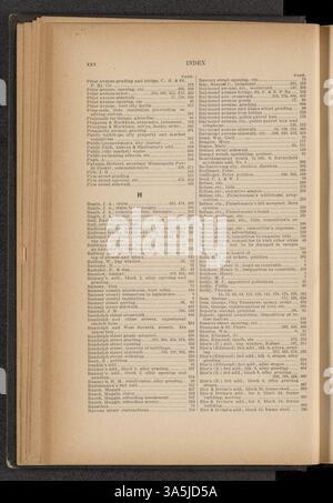 Les 1889 documents du Conseil commun de Saint-Paul documentent diverses décisions gouvernementales, résolutions et ordonnances adoptées par le conseil pour gérer les affaires de la ville. Banque D'Images