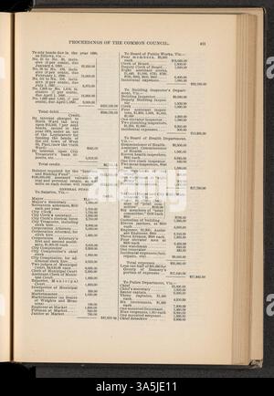 Les actes du Conseil commun de 1889 documentent les décisions, ordonnances et résolutions qui ont façonné le paysage politique et urbain de Saint Paul. Banque D'Images